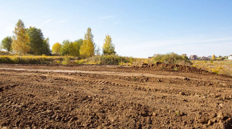 Whatâ€™s Involved In Professional Land Clearing?