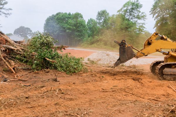 Ground Clearing in Bremerton