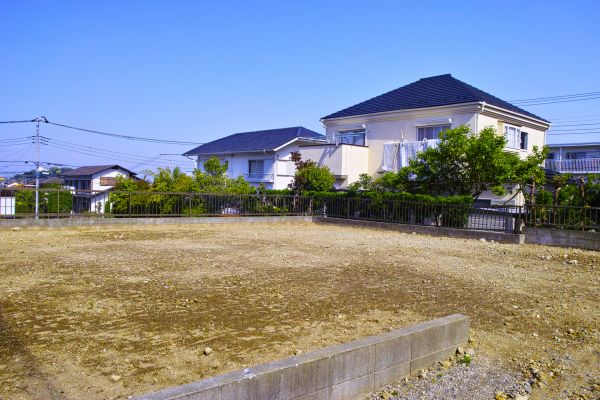 Cost of Lot Clearing Service in Bremerton