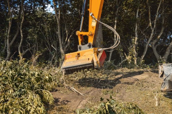 Brush Removal Service in Bremerton