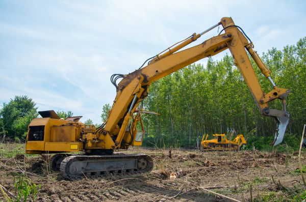 Cost of Farm Clearing in Bremerton