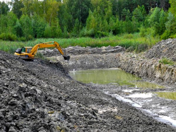 Cost of Lake Lot Clearing in Bremerton