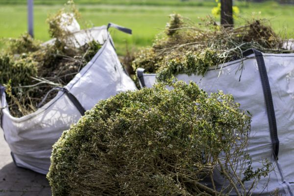 Cost of Bushes Clearing in Bremerton