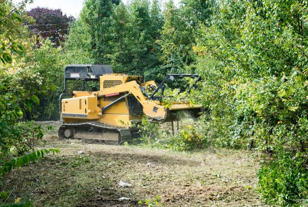 Cost of Pathway Clearing in Bremerton
