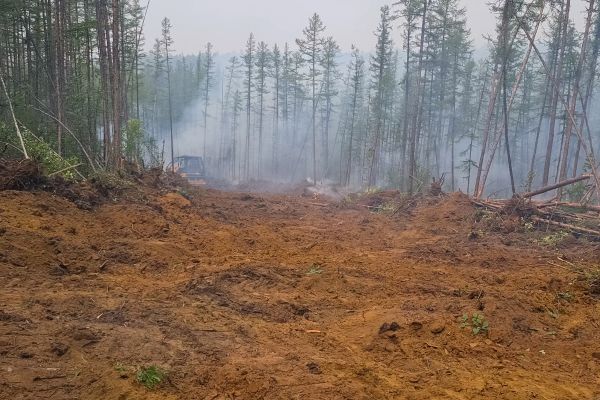 Cost of Hill Clearing in Bremerton