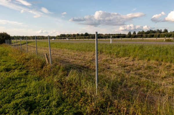 Cost of Property Line Clearing in Bremerton
