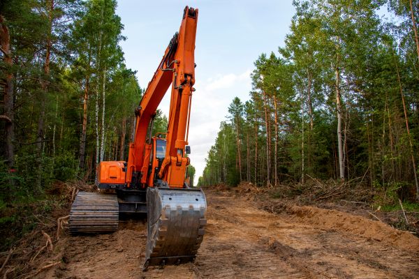 Cost of Backhoe Land Clearing in Bremerton