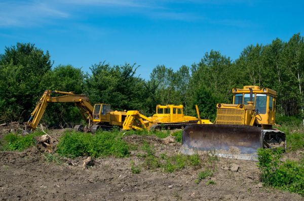 Cost of Bulldozer Clearing in Bremerton