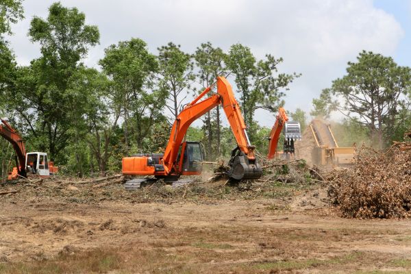 Cost of Commercial Lot Clearing in Bremerton