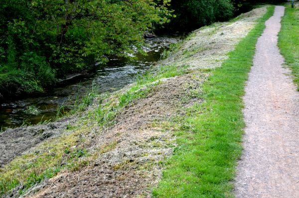 Cost of Trail Cutting in Bremerton